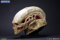 1:1 Newborn Alien Life-Size Head (Alien Resurrection)