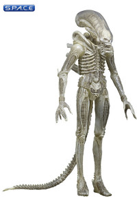 1/4 Scale 1979 Alien Big Chap Transculent Prototype Suit (Alien)