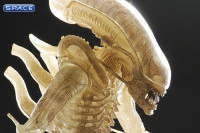 1/4 Scale 1979 Alien Big Chap Transculent Prototype Suit (Alien)