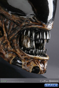 1:1 Dog Alien Life-Size Head (Alien)