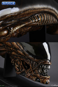 1:1 Dog Alien Life-Size Head (Alien)