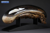 1:1 Dog Alien Life-Size Head (Alien)