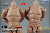 1/6 Scale Standard Male Body 2.0 - narrow Shoulders