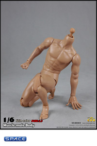 1/6 Scale Muscular Male Body 2.0