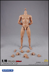 1/6 Scale Muscular Male Body 2.0