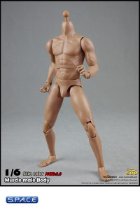 1/6 Scale Muscular Male Body 2.0