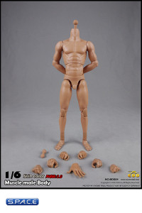 1/6 Scale Muscular Male high Body 2.0