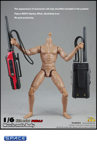 1/6 Scale Muscular Male high Body 2.0