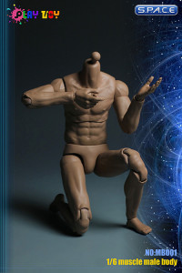 1/6 Scale Male Muscle Body with Neck
