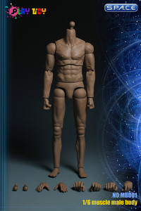 1/6 Scale Male Muscle Body with Neck