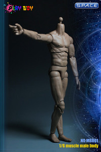 1/6 Scale Male Muscle Body with Neck