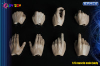 1/6 Scale Male Muscle Body with Neck