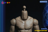 1/6 Scale neckless Male Muscle Body