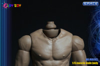 1/6 Scale neckless Male Muscle Body