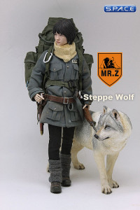 1/6 Scale grey Wolf