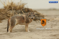 1/6 Scale brown Wolf