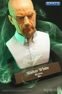 1:1 Walter White life-size Bust (Breaking Bad)