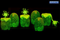 Xenomorph Glow in the Dark Egg Set (Alien)