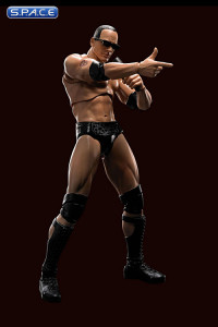 S.H.Figuarts The Rock (WWE)