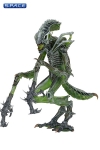 3er Komplettsatz: Aliens Serie 10 (Aliens)