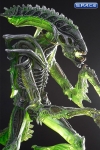 Complete Set of 3: Aliens Serie 10 (Aliens)
