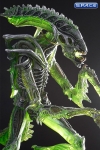 3er Komplettsatz: Aliens Serie 10 (Aliens)