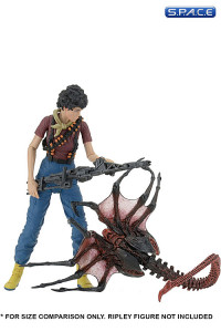 3er Komplettsatz: Aliens Serie 10 (Aliens)