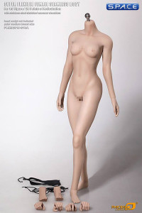 1/6 Scale Seamless Female pale Body removable feet / medium breast / headless (Super-Flexible)
