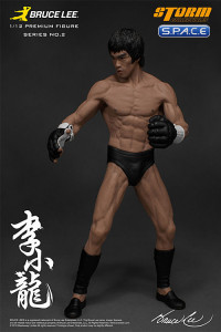 1/12 Scale Bruce Lee Iconic MMA Outfit Martial Artist Series No. 2 (Bruce Lee)