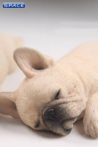 1/6 Scale beige French Baby Bulldogs
