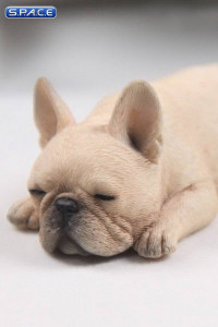 1/6 Scale beige French Baby Bulldogs