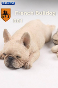 1/6 Scale beige French Baby Bulldogs