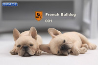 1/6 Scale beige French Baby Bulldogs