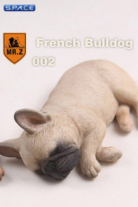 1/6 Scale tan French Baby Bulldogs
