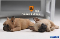 1/6 Scale tan French Baby Bulldogs