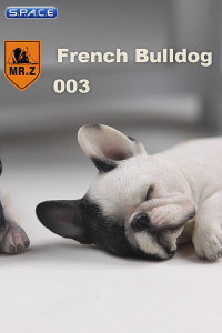 1/6 Scale white French Baby Bulldogs