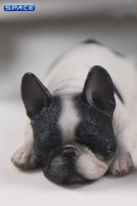 1/6 Scale white French Baby Bulldogs