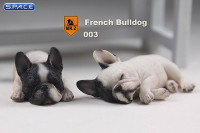 1/6 Scale white French Baby Bulldogs