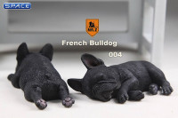 1/6 Scale black French Baby Bulldogs