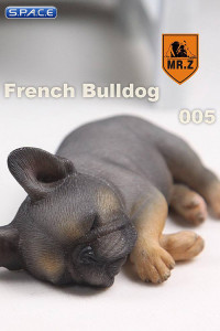 1/6 Scale brown French Baby Bulldogs