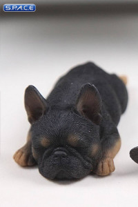 1/6 Scale brown French Baby Bulldogs