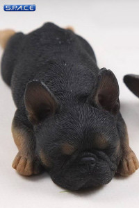 1/6 Scale brown French Baby Bulldogs