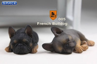 1/6 Scale brown French Baby Bulldogs