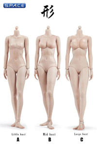 1/6 Scale Female suntan Body little breast Super-Flexible