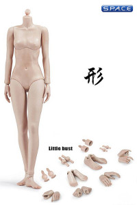1/6 Scale Female suntan Body little breast Super-Flexible
