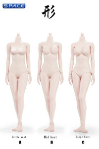 1/6 Scale Female suntan Body middle breast Super-Flexible