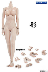 1/6 Scale Female suntan Body large breast Super-Flexible