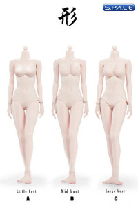 1/6 Scale Female pale Body little breast Super-Flexible