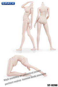 1/6 Scale Female pale Body little breast Super-Flexible