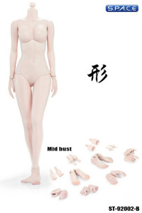 1/6 Scale Female pale Body middle breast Super-Flexible
